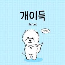 포항중고 이미지