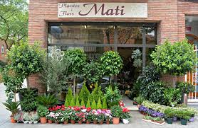 Mati, Plantes i Flors