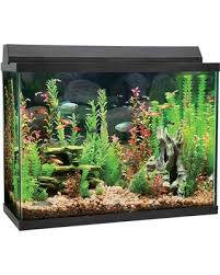 2000 x 2000 jpeg 472 кб. Shop Deals For Top Fin Aquarium Starter Kit Size 37 Gal