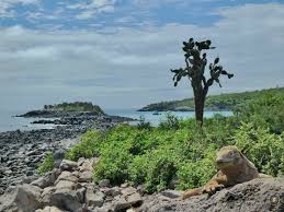 What is the climate like in santa fé, panamá? Isla Galapagos Santa Fe Age Revista De Viajes