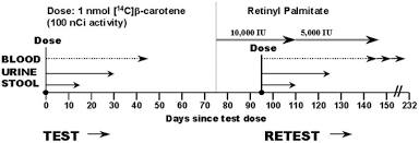 Maybe you would like to learn more about one of these? Absorption And Retinol Equivalence Of B Carotene In Humans Is Influenced By Dietary Vitamin A Intake Journal Of Lipid Research