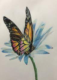 Black and white with drawing line art illustration. Butterfly And Flower Color Pencils Andrea Meyerholz Pencil Drawings Of Flowers Flower Art Drawing Flower Sketches