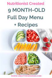 Baby Day Full Healthy Menu Month Nutrient Dense Full Day Menu For A 9 Month Old Baby All Baby Food Recipes 10 Month Old Baby Food Baby Food Recipes 9 12