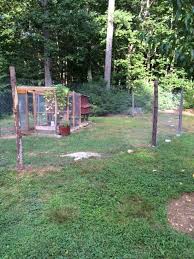 Maybe you would like to learn more about one of these? Advice About Installing An Electric Fence Not Netting Around Current Fence Backyard Chickens Learn How To Raise Chickens