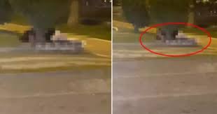 Açıkta Seks - Bursa Çiftinin Cüretkar Anları