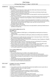 Data Entry Operator Resume Samples Velvet Jobs
