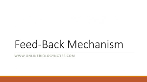Feedback Mechanism Negative Feedback And Positive Feedback Online Biology Notes