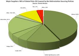 Palm Oil Major Makes Deforestation Free Commitment