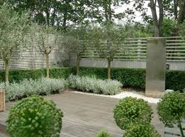 Olive Trees And Boxwoods Garden Design Garden Architecture Olive Trees Garden