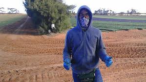 My 'girlfriend' was my male coworker who, being a white australian, couldn't really be subject to the usual racial or. Illegal Malaysian Farm Labourer Told About Kangaroo Call When Starting Work The Weekly Times