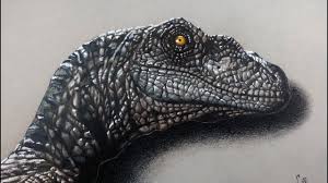 Drawing Velociraptor Jurassic World Realistic Drawing Youtube I forgot to include this image on the previous blog. drawing velociraptor jurassic world realistic drawing