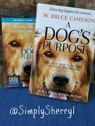A dog's purpose free movie. A Dog S Purpose Simply Sherryl
