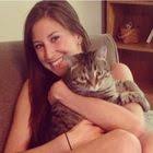 Chicken Enchilada Soup