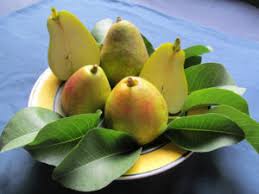 We did not find results for: Best Times To Plant A Fruit Tree Just Fruits And Exotics
