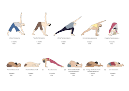 Image result for Primary Series