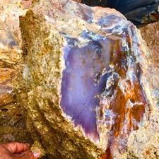 Profile for Gỗ Hoá Thạch Tây Nguyên Gia Lai