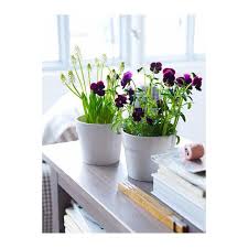 Ikea Us Furniture And Home Furnishings Planting Flowers Herb Pots Ceramic Pots