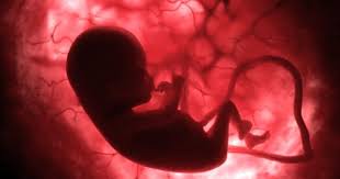 Men Can Be Clueless When It Comes To Pregnant Women It S Just Not Something We Have Any First Hand Know Baby In Womb Baby Development In Womb Baby Development