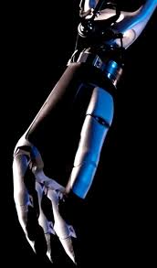 Billions of Humanoid Bots and Robotaxis Could Enable a Quadrillion Dollar  Economy by the 2040s