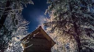 Book now, pay when you stay. My Wild Life At The Log Cabin Youtube