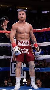 Official boxing page for saul alvarez canelo videos, upcoming events, statistics guadalajara, jalisco, mexico middleweight events: Canelo Canelo Alvarez Ufc Boxing Boxing Images