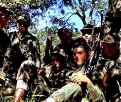 Image result for Sorindeia rhodesica