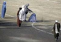 What does eiil stand for? Emirato Islamico De Afganistan 1996 2001 Wikipedia La Enciclopedia Libre