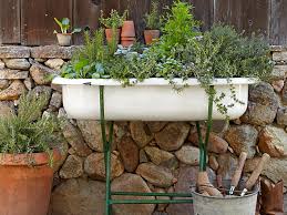 Many of them grow well in confined spaces, and window boxes provide the good drainage essential to most herbs. Fragrant Herb Container Combinations Hgtv