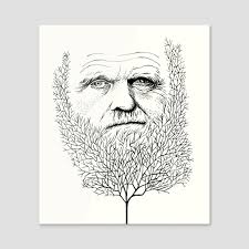 Opening hours 9am to 5pm weekdays and 10am to 3pm on weekends email sales@masongallery.com.au. Charles Darwin An Art Acrylic By Hannah Wilson Inprnt