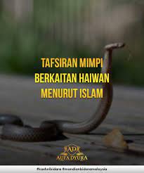 Apa arti mimpi menangkap burung? Ikhtiar Dirimu Tafsiran Mimpi Menurut Islam Mimpi Facebook