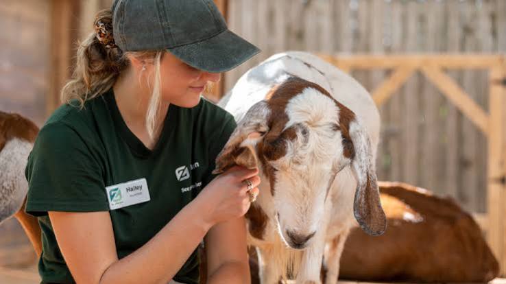 Houston Zoo Adult Volunteer Program