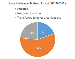 Statistics And Reports Animal Services Health Services County Of Sonoma