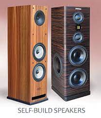 Self Speaker Speaker Kits Diy Speaker Kits Diy Speakers