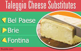 Good Alternatives For Taleggio Cheese That Are Equally Satisfying Tastessence