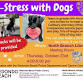 Teen De-Stress with Dogs - North Branch Library event image