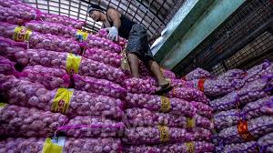 Benamkan umbi bawang putih sekitar 10 sampai 15 cm di dalam tanah dengan posisi terbalik — ujung lancip menghadap ke. Di Pasar Induk Harga Bawang Putih Dan Bombay Turun Banyak Bisnis Tempo Co