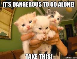 If your life meter is not full, though, the sword will not shoot sword beams. Gif Its Dangerous To Go Alone Take This Viral Viral Videos