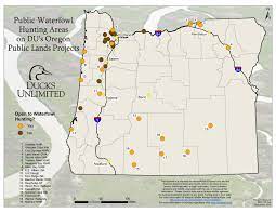 Before season, be sure to visit the state's department of natural resources website. Public Waterfowl Hunting Areas On Du Public Lands Projects