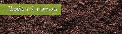 Die 10 besten stauden für lehmboden. Boden Humus
