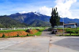 We reached desa cattle dairy farm and saw the cloud started to cover the mount kinabalu. Desa Dairy Farm Mesilau Highland Kundasang Sabah Attraction