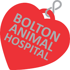 Download Bolton Animal Hospital Bolton Animal Hospital