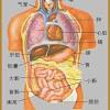 The lining of the uterus. 1