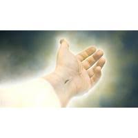 Learn more about what anchor of hope baptist church is all about. Anchor Of Hope Church Church In Lebanon Oh