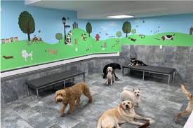 Millions of photo updates have been sent. Dog Overnight Care Near Me Off 59 Www Usushimd Com