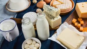 From Milk to Cheese: Essential dairy ...