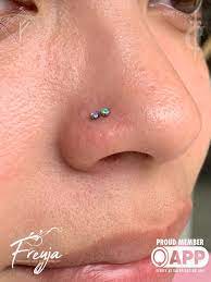 Double Nose Piercing Body Jewelry Piercing Nose Piercing Pretty Jewellery