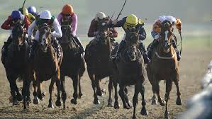 These horses are known by their colors and their post position numbers. Lingfield Racing Tips Timeform S Three Best Bets For Sunday 24 January