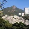 立法會二十二題：威爾斯親王醫院重建計劃 ＊＊＊＊＊＊＊＊＊＊＊＊＊＊＊＊＊＊＊ 以下為今日（五月二十二日）在立法會會議上葛珮帆議員的提問和食物及 生局局長高永文的書面答覆： 問題： 有政黨的調查發現，新界東醫院聯網的威爾斯親王醫院（威院）的急症室候診時間遠高於其他. Https Encrypted Tbn0 Gstatic Com Images Q Tbn And9gcr0oepamj5kqfcjphuz9gkfwqrruuxcbjkogu2yl7yqqsyxltvq Usqp Cau