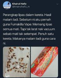 Ia mesra alam kerana kita hanya meletakkan serpihan biskut ke dalam kotak di waktu malam. Lubuk Maklumat Cara Perangkap Lipas Dalam Kereta Modal Facebook