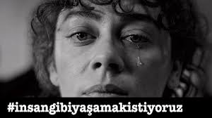 Aile içinde şiddeti yaşamışsa yada kişi şiddet görmüşse ileride kendiside şiddet uyguluyor. Kadina Siddete Karsi Sektore Cagri Youtube